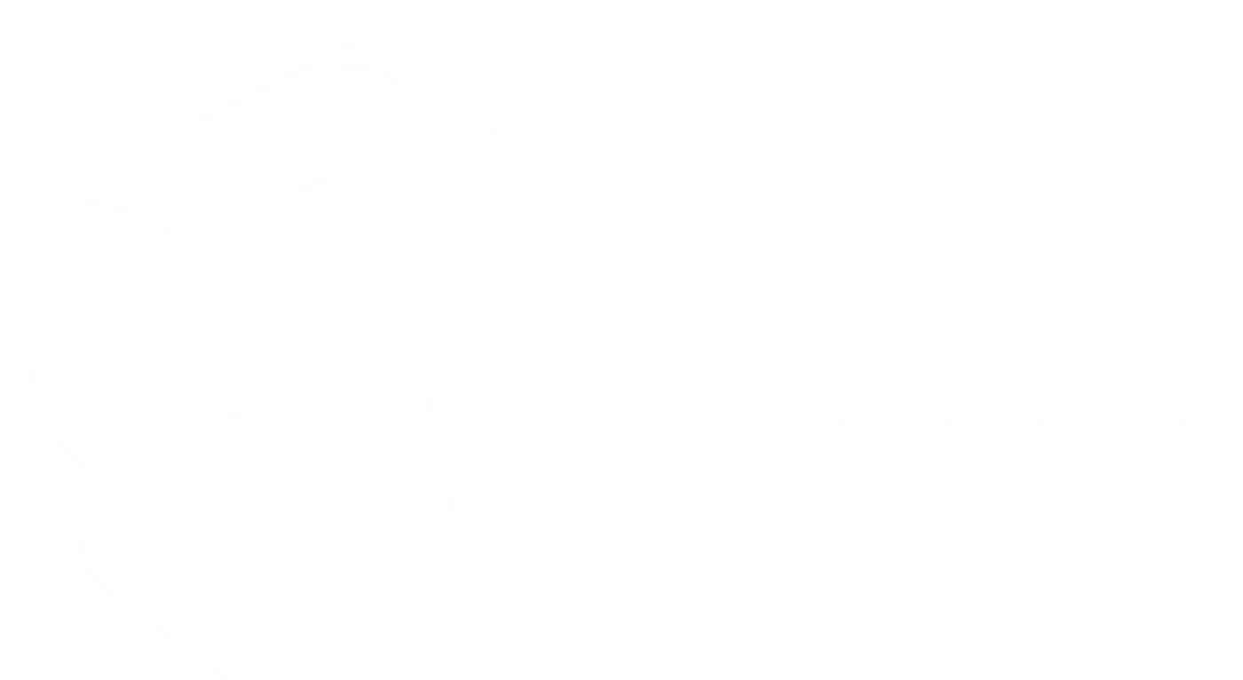 DST Net